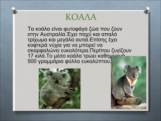 ΚΟΑΛΑ Τα κοάλα είναι φυτοφάγα ζώα που ζουν στην Αυστραλία.Έχει παχύ και απαλό τρίχωμα και μεγάλα αυτιά.Επίσης έχει κοφτερά νύχια για να μπορεί να σκαρφαλώνει ευκολότερα.Περίπου ζυγίζουν 17 κιλά.Το μέσο κοάλα τρώει καθημερινά 500 γραμμάρια φύλλα ευκαλύπτου. 