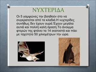 ΝΥΧΤΕΡΙΔΑ Οι 5 γαμψώνες την βοηθούν στο να συγκρατείται από τα κλαδιά.Η νυχτερίδες συνήθως δεν έχουν ουρά.Έχουν μεγάλα αυτιά και πολλή καλή όραση.Το άνοιγμα φτερών της φτάνει τα 14 εκατοστά και πάει με ταχύτητα 50 χιλιομέτρων την ώρα. 