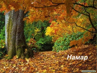 Намар   Намар   