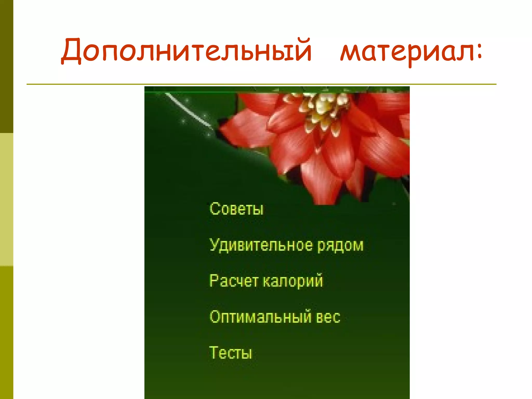 Дополнительный  материал:   