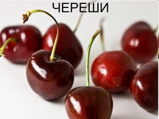 ЧЕРЕШИ 