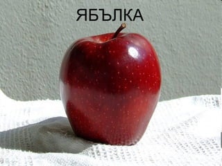ЯБЪЛКА 