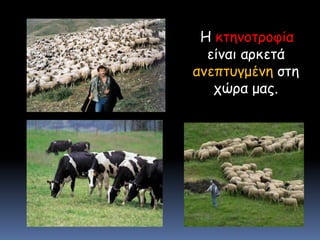 Ηκτηνοτροφία είναι αρκετά ανεπτυγμένη στη χώρα μας.