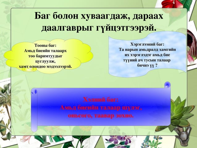 амьтны биеийн бүтэц 1 | PPT
