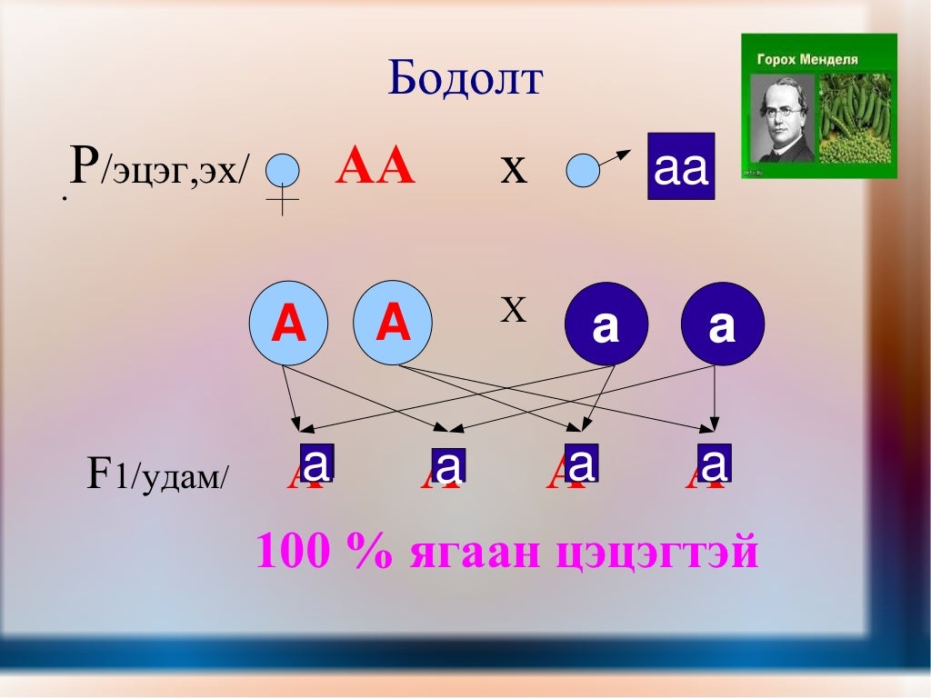 менделийн хууль 1