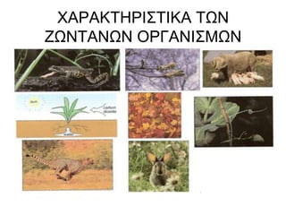 ΧΑΡΑΚΤΗΡΙΣΤΙΚΑ ΤΩΝ ΖΩΝΤΑΝΩΝ ΟΡΓΑΝΙΣΜΩΝ
