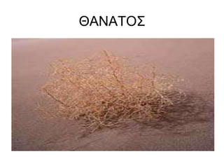 ΘΑΝΑΤΟΣ
