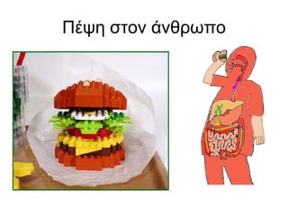 Πέψη στον άνθρωπο