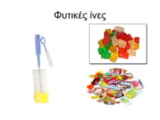 Φυτικές ίνες 