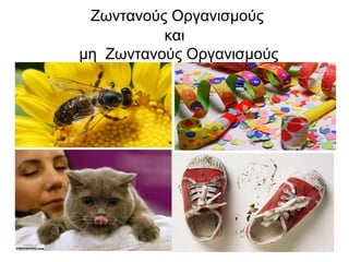 Ζωντανούς Οργανισμούςκαι  μη  Ζωντανούς Οργανισμούς
