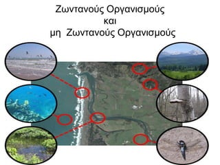 Ζωντανούς Οργανισμούς και  μη  Ζωντανούς Οργανισμούς