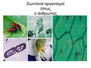 Ζωντανοί οργανισμοίόπωςο άνθρωπος