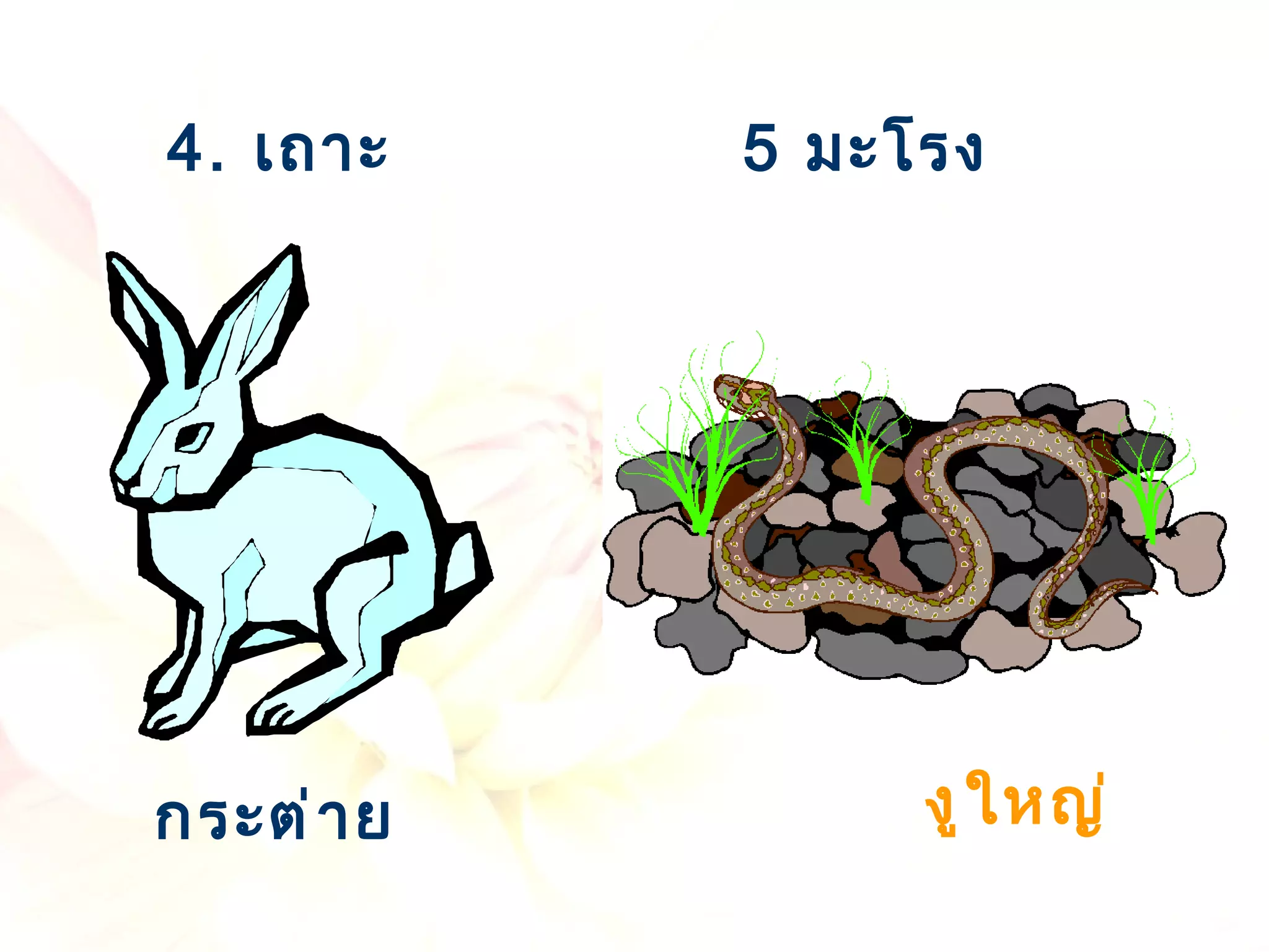 5  มะโรง 4.  เถาะ กระต่าย งูใหญ่ 