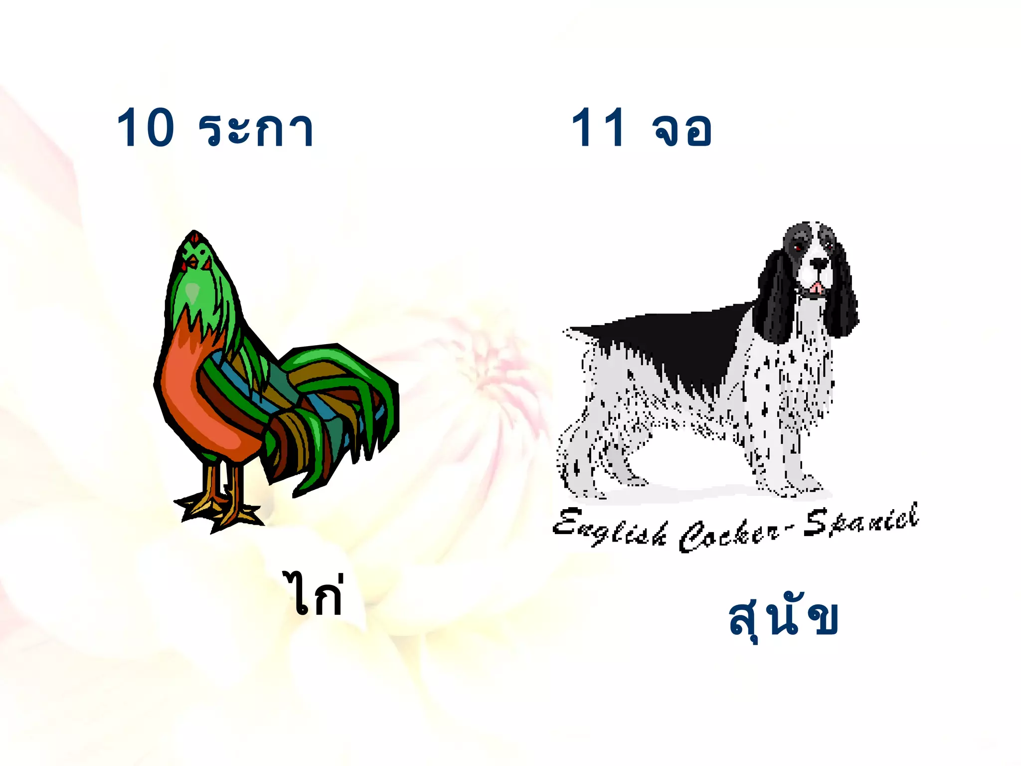 ไก่ 10  ระกา สุนัข 11  จอ 