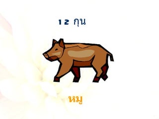 12  กุน หมู 