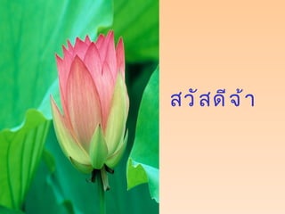 สวัสดีจ้า 