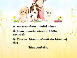 ความสามารถพิเศษ  :  เล่นกีฬาเปตอง  สิ่งที่ชอบ  :   ชอบเที่ยวชมสถานที่ที่เป็นธรรมชาติ  สิ่งที่ไม่ชอบ  : ไม่ชอบการโดนบังคับ ไม่ชอบอยู่นิ่งๆ  ไม่ชอบคนใจร้าย 