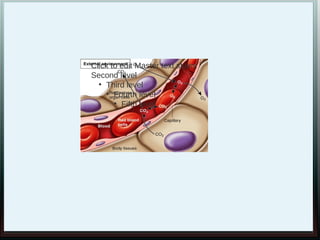 Click to edit Master text styles
Second level
  ●
    Third level
    ●
       Fourth level
       ●
         Fifth level
 