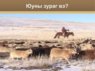 Малын ноос ноолуур арьс ширээр хийсэн  