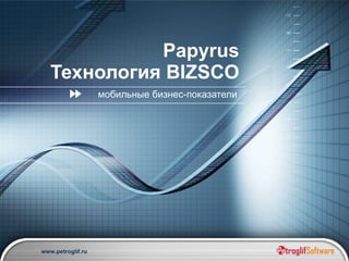 мобильные бизнес-показатели  Papyrus  Технология  BIZSCO   
