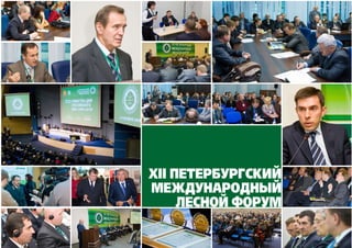 XII Петербургский
Международный
     лесной ФоруМ
 