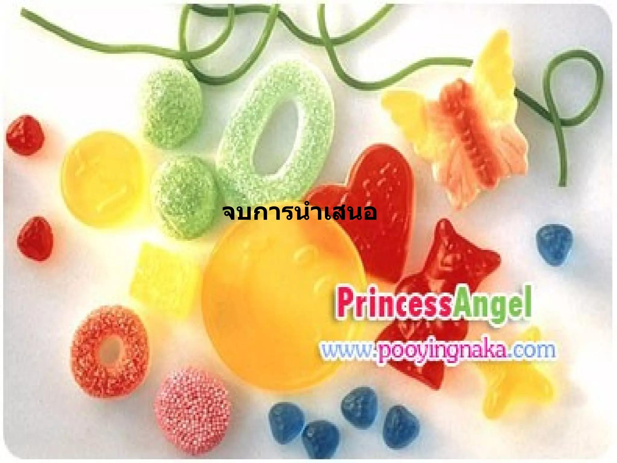 จบการนำเสนอ 