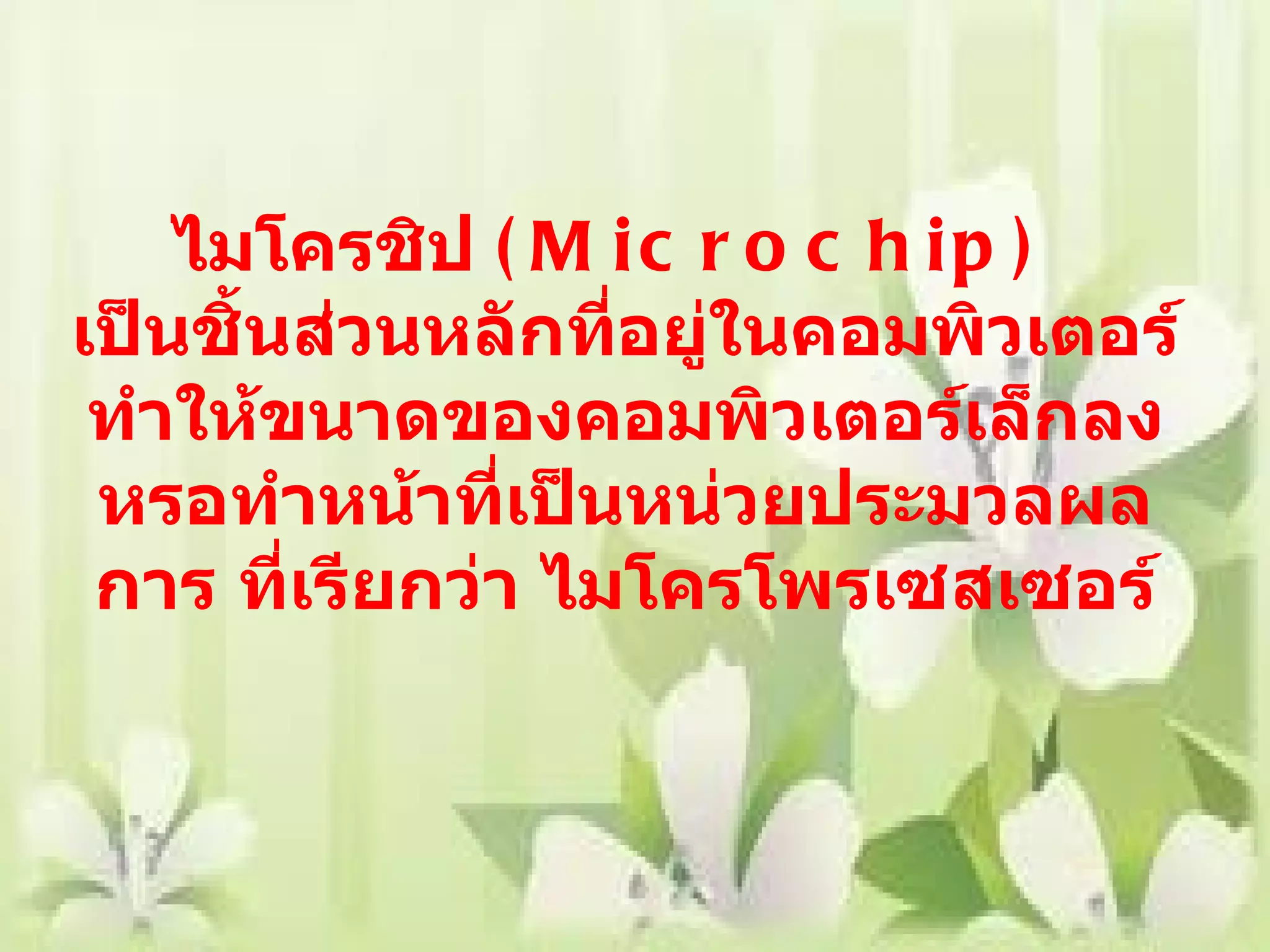 ไมโครชิป  ( Microchip)   เป็นชิ้นส่วนหลักที่อยู่ในคอมพิวเตอร์ทำให้ขนาดของคอมพิวเตอร์เล็กลงหรอทำหน้าที่เป็นหน่วยประมวลผลการ ที่เรียกว่า ไมโครโพรเซสเซอร์ 