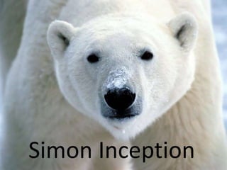 Simon Inception 
