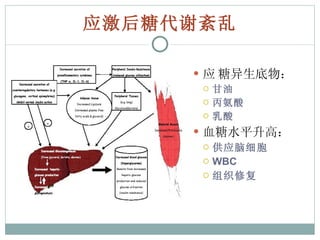 应激后糖代谢紊乱  糖异生底物： 甘油 丙氨酸 乳酸 血糖水平升高： 供应脑细胞 WBC 组织修复 
