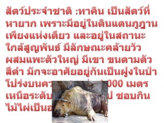 ประเทศภูฎาน
