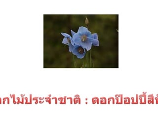 ประเทศภูฎาน