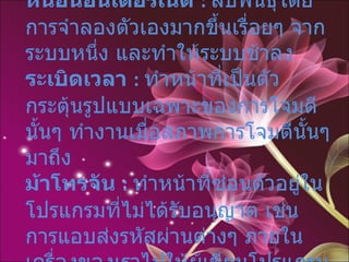 หนอนอินเตอร์เน็ต  :   สืบพันธุ์โดยการจำลองตัวเองมากขึ้นเรื่อยๆ จากระบบหนึ่ง และทำให้ระบบช้าลง  ระเบิดเวลา  :   ทำหน้าที่เป็นตัวกระตุ้นรูปแบบเฉพาะของการโจมตีนั้นๆ ทำงานเมื่อสภาพการโจมตีนั้นๆ มาถึง  ม้าโทรจัน  :   ทำหน้าที่ซ่อนตัวอยู่ในโปรแกรมที่ไม่ได้รับอนุญาต เช่น การแอบส่งรหัสผ่านต่างๆ ภายในเครื่องของเราไปให้ผู้เขียนโปรแกรม 