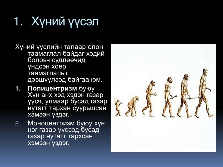 1.ураг төрөл халиун