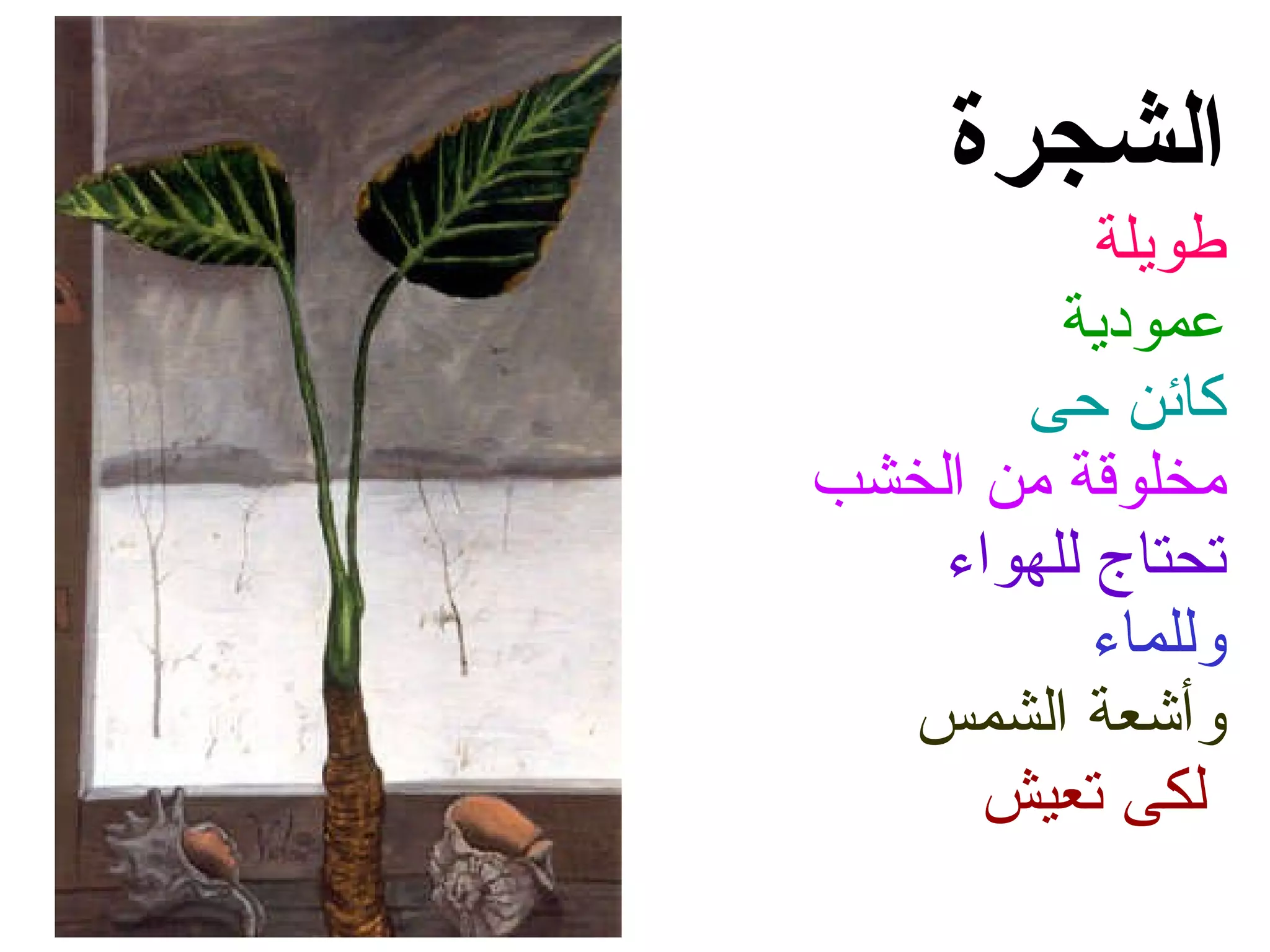 الشجرة طويلة عمودية كائن حى مخلوقة من الخشب تحتاج للهواء وللماء وأشعة الشمس   لكى تعيش 