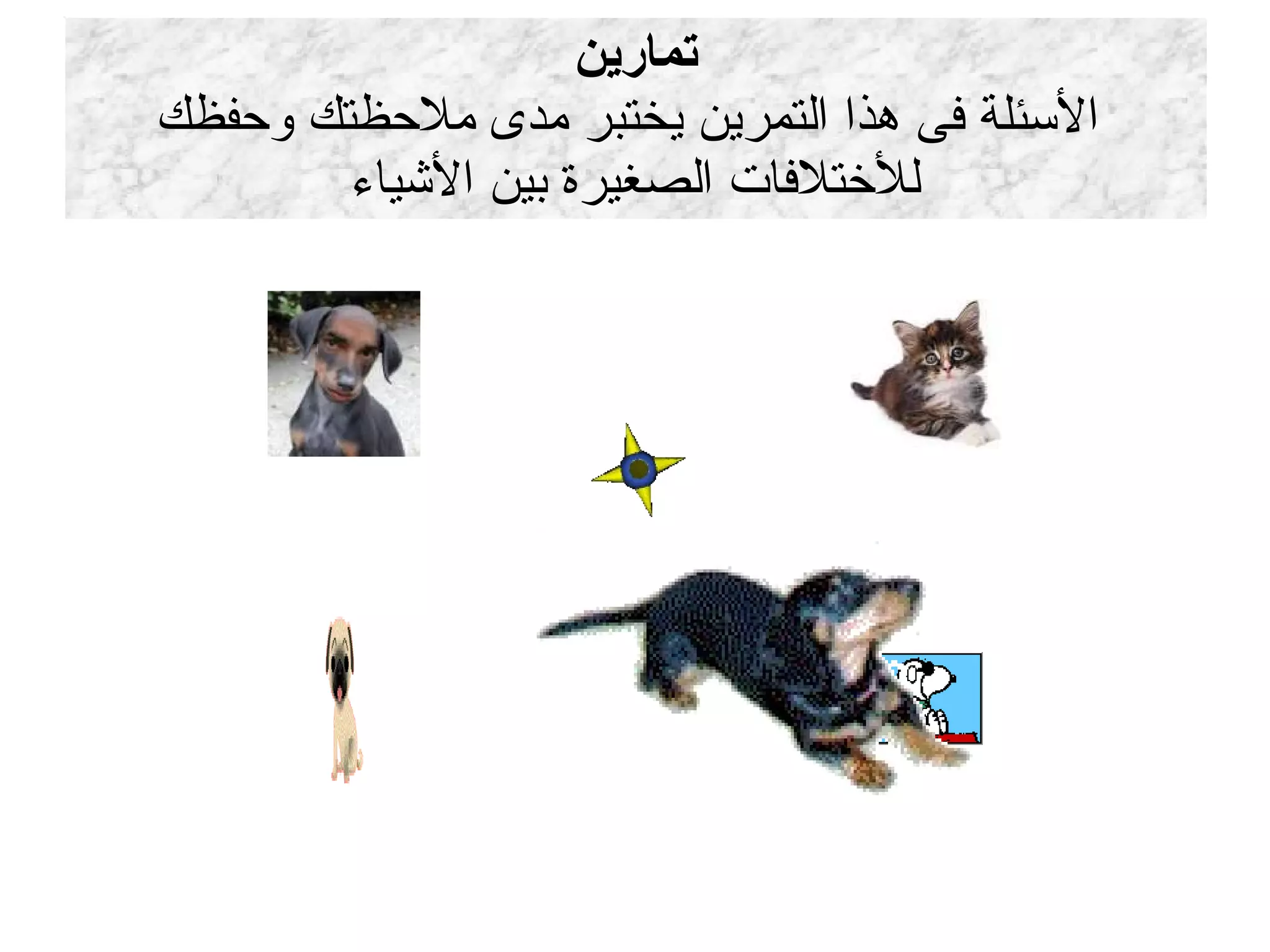 تمارين  الأسئلة فى هذا التمرين يختبر مدى ملاحظتك وحفظك للأختلافات الصغيرة بين الأشياء 