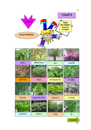 11
                                                    กรอบที่ 2

        1.ไมใบ                                      ไมใบ
                                                 คือ ไมที่มีใบ
                                                   สวยงาม
                                                   กวาดอก

ตัวอยางไมใบครับ




 พลูดาง            เฟรนขาหลวง       ปรง                 แดงชาลี




หูปลาชอน              นีออน        สาวนอยปะแปง          โคมญี่ปุน




ไผน้ําเตา       ซองออฟจาไมกา      ปาลมยะวา              กาบหอย




แสงจันทร             ชบาดาง           ปาลม                     จั๋ง   1


                                                             หนาตอไป
 