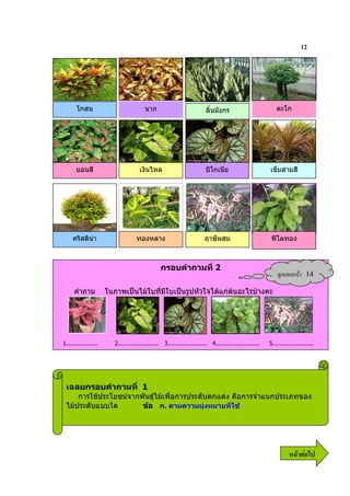 12




       โกสน                             นาก                            ลิ้นมังกร                          ตะโก




       บอนสี                         เงินไหล                           บีโกเนีย                        เข็มสามสี




     คริสตินา                      ทองหลาง                            ฤาษีผสม                          ฟโลทอง



                                                กรอบคําถามที่ 2
                                                                                                             ?& 9         14
      คําถาม          ในภาพเปนไมใบที่มีใบเปนรูปหัวใจไดแกตนอะไรบางคะ




1..................      2....................... 3...................... 4.........................   5.......................




 เฉลยกรอบคําถามที่ 1
     การใชประโยชนจากพันธุไมเพื่อการประดับตกแตง คือการจําแนกประเภทของ
 ไมประดับแบบใด        ขอ ก. ตามความมุงหมายที่ใช




                                                                                                                 6 52
 