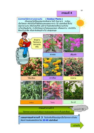 15
                                                 กรอบที่ 4

2.พรรณไมกระถางกลางแจง            ( Outdoor Plants )
         เปนพรรณไมที่นิยมปลูกประดับสวน ริมรั้ว ริมอาคาร ระเบียง
เปนไมดอก หรือไมใบก็ไดที่ชอบแสงแดดมากกวา 50 เปอรเซ็นต ขึ้นไป
ปลูกกลางแจง หรือในรมก็ได แตถานําไปประดับในที่รมนานเกินไป
จะไมเจริญเติบโต ถาเปนไมดอกจะไมคอยออกดอก หรือดอกรวง สวนไมใบ
                                      
สีของใบจะซีด หรือลําตนผิดรูปรางไป เชนสูงชะลูด



                 ตัวอยาง
                ไมกระถาง
                กลางแจง
                   ครับ



                                    ชวนชม                  เฟองฟา




          โปยเซียน                ดาวเรือง                กุหลาบ




            %                       1ก                      && %

                       กรอบคําถามที่ 4                             ?& 9   16
     ไมกระถางกลางแจงตองการแสงแดดมากกวากี่เปอรเซ็นต

  เฉลยกรอบคําถามที่ 3 ไมประดับที่นิยมปลูกเปนไมกระถางในรม
  ตองการแสงแดดประมาณ 20-40 เปอรเซ็นต

                                                              6 52
 