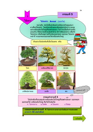 16
                                                     กรอบที่ 5
     3
      3                ไมแคระ Bonsai (บอนไซ)
                    หมายถึง ตนไมซึ่งปกติแลวจะมีขนาดใหญแตเอา
          มาเลี้ยงใหแคระ โดยยังคงลักษณะเดิมอยูทุกประการ มองดู
                                                   
          แลวเหมือนตนไมใหญที่ยอสวนลงมา ไมวาจะเปนกิ่งกานหรือ
          แมแตใบ ก็มีขนาดเล็กลงสมตัวดวย มีการดัดแตงบาง เพื่อให
          ไดรูปทรง เมื่อถึงฤดูกาลที่จะตองออกดอก ออกผล ไมแคระ
          เหลานี้ จะออกดอกออกผลไดเหมือนตนใหญ

              ตัวอยางไมประดับที่เปนไมแคระ ครับ




    ไทร                 เหลืองปรีดิยาธร               ซากุระ




เกล็ดปลาหมอ                 มะสัง                      สน
                                                                          ?& 9      17

                       กรอบคําถามที่ 5
     ไมประดับที่มองดูแลวเหมือนตนไมใหญที่ยอสวนลงมา ออกดอก
ออกผลได เหมือนตนใหญ คือไมในขอใด
     ก. ไมกระถาง      ข.ไมดัด      ค.ไมแคระ         ง.ไมพุม

   เฉลยกรอบคําถามที่ 4 ไมกระถางกลางแจงตองการแสงแดด
   มากกวา 50 เปอรเซ็นต


                                                                        6 52
 