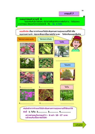 18
                                                                         กรอบที่ 7

 เฉลยกรอบคําถามที่ 6
      ไมประดับที่เปนไมยืนตน เมื่อโตไดที่แลวก็ทําการดัดกิ่งกาน ใหมีรูปทรง
ตามใจชอบ ผิดแผกไปจากธรรมชาติ คือ ขอ ข.ไมดัด


 แบบฝกหัด เรื่อง4การจําแนกไมประดับตามความมุงหมายที่ใช7เพื่อ
 ทบทวนความจํา กอนจะศึกษาเนื้อหาตอไป นะคะ                           ใหนักเรียนบอกชื่อพืช

ไมกระถางกลางแจง               ไมกระถางในรม
                                                                ไมดัด




  1.......................   1.......................
                                                          .......................

                                                                         ไมแคระ


  2.......................   2.......................




                                                                  .......................
 3....................         3.......................                  ไมใบ




4.......................       4.......................          .......................

       สรุปแลวการจําแนกไมประดับตามความมุงหมายที่ใชแบงได
       ดังนี้ 1. ไมใบ 2............... 3............... 4.................
          ตรวจคําตอบในกรอบที่ 1 - 6 หนา 10 - 17 นะคะ
          แลวพบกับเนื้อหาตอไปคะ


                                                                                            6 52
 