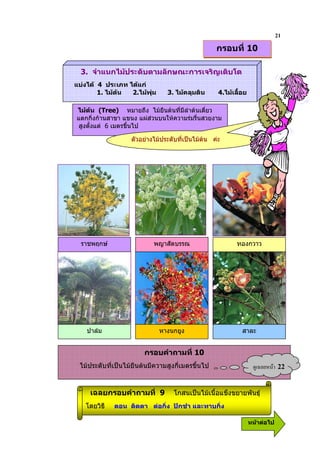 21
                                                   กรอบที่ 10

  3. จําแนกไมประดับตามลักษณะการเจริญเติบโต
แบงได 4 ประเภท ไดแก
        1. ไมตน 2.ไมพุม     3. ไมคลุมดิน       4.ไมเลื้อย

ไมตน (Tree) หมายถึง ไมยืนตนที่มีลําตนเดียว
                                             ่
แตกกิ่งกานสาขา แขนง แผสวนบนใหความรมรื่นสวยงาม
 สูงตั้งแต 6 เมตรขึ้นไป

                   ตัวอยางไมประดับที่เปนไมตน คะ




  ราชพฤกษ                 พญาสัตบรรณ                      ทองกวาว




    ปาลม                     หางนกยูง                       สาละ


                        กรอบคําถามที่ 10
 ไมประดับที่เปนไมยืนตนมีความสูงกี่เมตรขึ้นไป                     ?& 9     22

     เฉลยกรอบคําถามที่ 9           โกสนเปนไมเนื้อแข็งขยายพันธุ
   โดยวิธี   ตอน ติดตา ตอกิ่ง ปกชํา และทาบกิ่ง

                                                                  หนาตอไป
 