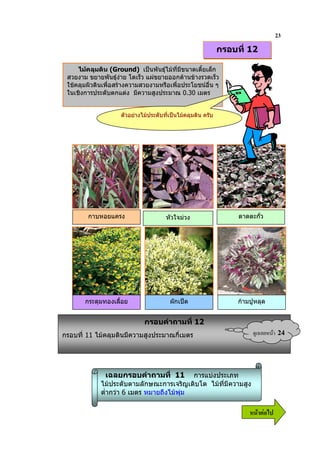23
                                                             กรอบที่ 12

     ไมคลุมดิน (Ground) เปนพันธุไมที่มีขนาดเตี้ยเล็ก
 สวยงาม ขยายพันธุงาย โตเร็ว แผขยายออกดานขางรวดเร็ว
 ใชคลุมผิวดินเพื่อสรางความสวยงามหรือเพื่อประโยชนอื่น ๆ
 ในเชิงการประดับตกแตง มีความสูงประมาณ 0.30 เมตร


                    ตัวอยางไมประดับทีเปนไมคลุมดิน ครับ
                                       ่




        กาบหอยแครง                    หัวใจมวง                   ดาดตะกั่ว




       กระดุมทองเลือย
                   ้                    ผักเปด                   กามปูหลุด


                             กรอบคําถามที่ 12
กรอบที่ 11 ไมคลุมดินมีความสูงประมาณกี่เมตร                              ?& 9   24


               เฉลยกรอบคําถามที่ 11         การแบงประเภท
             ไมประดับตามลักษณะการเจริญเติบโต ไมที่มีความสูง
             ต่ํากวา 6 เมตร หมายถึงไมพุม

                                                                      6 52
 