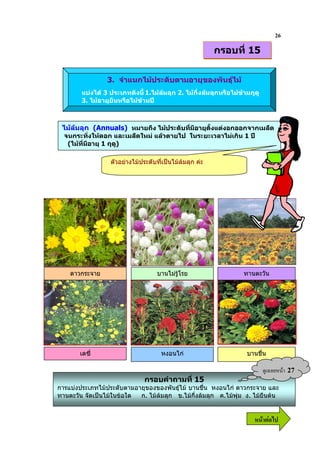 26
                                                          กรอบที่ 15

                 3. จําแนกไมประดับตามอายุของพันธุไม
        แบงได 3 ประเภทดังนี้ 1.ไมลมลุก 2. ไมกึ่งลมลุกหรือไมขามฤดู
        3. ไมอายุยืนหรือไมขามป



 ไมลมลุก (Annuals) หมายถึง ไมประดับที่มีอายุตั้งแตงอกออกจากเมล็ด
  จนกระทั่งใหดอก และเมล็ดใหม แลวตายไป ในระยะเวลาไมเกิน 1 ป
   (ไมที่มีอายุ 1 ฤดู)

                  ตัวอยางไมประดับที่เปนไมลมลุก คะ




    ดาวกระจาย                       บานไมรูโรย                   ทานตะวัน




       เดซี่                          หงอนไก                       บานชื่น

                                                                              ?& 9   27
                               กรอบคําถามที่ 15
การแบงประเภทไมประดับตามอายุของของพันธุไม บานชื่น หงอนไก ดาวกระจาย และ
ทานตะวัน จัดเปนไมในขอใด ก. ไมลมลุก ข.ไมกึ่งลมลุก ค.ไมพุม ง. ไมยืนตน


                                                                       6 52
 