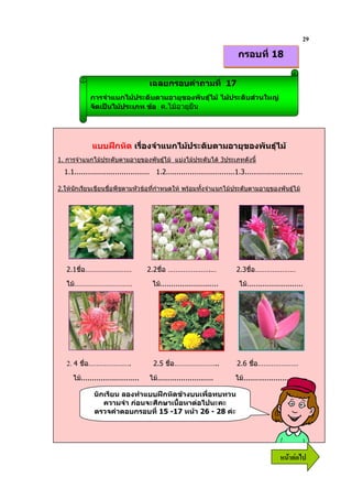 29
                                                                             กรอบที่ 18


                                       เฉลยกรอบคําถามที่ 17
             การจําแนกไมประดับตามอายุของพันธุไม ไมประดับสวนใหญ
             จัดเปนไมประเภท ขอ ค.ไมอายุยืน




              แบบฝกหัด เรื่องจําแนกไมประดับตามอายุของพันธุไม
1. การจําแนกไมประดับตามอายุของพันธุไม แบงไมประดับได 3ประเภทดังนี้
  1.1................................... 1.2................................1.3...........................

2.ใหนกเรียนเขียนชือพืชตามหัวขอที่กาหนดให พรอมทังจําแนกไมประดับตามอายุของพันธุไม
      ั            ่                ํ              ้




   2.1ชื่อ……………………                    2.2ชื่อ ………………….…                      2.3ชื่อ…………………

   ไม…………………………                        ไม...........................        ไม..........................




   2. 4 ชื่อ………………….                    2.5 ชื่อ…………………..                    2.6 ชื่อ…………………

     ไม...........................    ไม..........................        ไม..........................

              นักเรียน ลองทําแบบฝกหัดขางบนเพื่อทบทวน
                 ความจํา กอนจะศึกษาเนื้อหาตอไปนะคะ
              ตรวจคําตอบกรอบที่ 15 -17 หนา 26 - 28 คะ




                                                                                                6 52
 