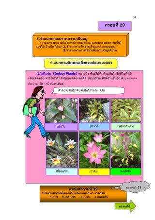30
                                                          กรอบที่ 19


     5.จําแนกตามสภาพความเปนอยู
        (จําแนกตามความตองการสภาพแวดลอม แสงแดด และความชื้น)
     แบงได 2 ชนิด ไดแก 1.จําแนกตามลักษณะสิ่งแวดลอมของแสง
                           2.จําแนกตามการใชน้ําเพื่อการเจริญเติบโต


               จําแนกตามลักษณะสิ่งแวดลอมของแสง

     1.ไมในรม (Indoor Plants) หมายถึง พันธุไมที่เจริญเติบโตไดดีในที่ทมี
                                                                          ี่
แสงแดดนอย หรือรมรําไร ไมชอบแสดงแดดจัด ชอบบริเวณที่มีความชื้นสูง สงบ # '#
  ! =   20 - 40 เปอรเซ็นต

                      ตัวอยางไมประดับที่เปนไมในรม ครับ




                     หนาวัว                  ซานาดู            เฟรนขาหลวง




                     เอื้องแซะ                 บัวดิน             หงษเหิน




                                 กรอบคําถามที่ 19
                                                                        ?& 9      31
          ไมในรมคือไมที่ตองการแสงแดดเฉพาะเวลาใด
               ก. เชา ข.เชา-บาย   ค. บาย ง.ตลอดวัน


                                                                 6 52
 