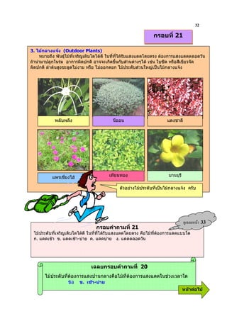 32
                                                              กรอบที่ 21

3. ไมกลางแจง (Outdoor Plants)
     หมายถึง พันธุไมที่เจริญเติบโตไดดี ในที่ที่ไดรบแสงแดดโดยตรง ตองการแสงแดดตลอดวัน
                                                      ั
ถานํามาปลูกในรม อาการผิดปกติ อาจจะเกิดขึ้นกับสวนตางๆได เชน ใบซีด หรือสีเขียวจัด
ผิดปกติ ลําตนสูงชะลูดไมงาม หรือ ไมออกดอก ไมประดับสวนใหญเปนไมกลางแจง




            พลับพลึง                     นีออน                      แดงชาลี




           แพรเซี่ยงไฮ                เทียนทอง                      บานบุรี

                                            ตัวอยางไมประดับที่เปนไมกลางแจง ครับ




                                                                                ?& 9        33
                                 กรอบคําถามที่ 21
 ไมประดับที่เจริญเติบโตไดดี ในที่ที่ไดรับแสงแดดโดยตรง คือไมที่ตองการแดดแบบใด
                                                                   
 ก. แดดเชา ข. แดดเชา-บาย ค. แดดบาย ง. แดดตลอดวัน




                              เฉลยกรอบคําถามที่ 20
       ไมประดับที่ตองการแสงปานกลางคือไมที่ตองการแสงแดดในชวงเวลาใด
                   ขอ ข. เชา-บาย
                                                                               หนาตอไป
 