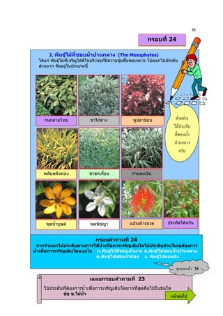 35
                                                              กรอบที่ 24

       2. พันธุไมที่ชอบน้ําปานกลาง (The Mesophytes)
  ไดแก พันธุไมที่เจริญไดดีในบริเวณที่มีความชุมชื้นพอเหมาะ ไมดอกไมประดับ
  สวนมาก จัดอยูในประเภทนี้




     กนกลายไทย                   ขาไกดาง            หูปลาชอน              .% / '
                                                                                !

                                                                                      ก& '
                                                                                  0


     พลับพลึงทอง                ชาฮกเกี้ยน           กําแพงเงิน




      พุดน้ําบุษต               พุดพิชญา           แปรงลางขวด          ประทัดไตหวัน


                                กรอบคําถามที่ 20 ่ 24
                                   กรอบคําถามที
   การจําแนกไมประดับตามการใชน้ําเพื่อการเจริญเติบโตไมประดับสวนใหญตองการ
น้ําเพื่อการเจริญเติบโตแบบใด ก.พันธุไมที่ชอบน้ํามาก ข.พันธุไมชอบน้ําปานกลาง
                             ค.พันธุไมชอบน้ํานอย ง. พันธุไมทนแลง

                                                                                  ?& 9        36
                                 เฉลยกรอบคําถามที่ 23
     ไมประดับที่ตองการน้ําเพื่อการเจริญเติบโตมากที่สุดคือไมในขอใด
                ขอ ข.ไมน้ํา
                                                                           6 52
 