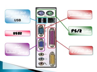USB



USB2
       PS/2
 