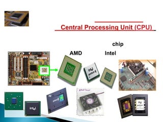 Central Processing Unit (CPU)

                 chip
  AMD         Intel
 