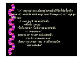 F                             F       F
F (cell)      F                                     F (sperm)   F
  F (egg)
     cell                 cell
                                 (tissue)
                             (system)
                  F                         F
      F                             F
                      F           (body)
 